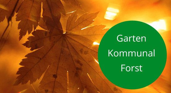 Garten Forst Kommunal